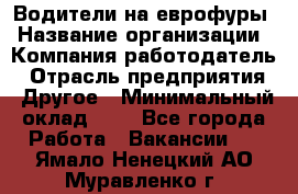 Водители на еврофуры › Название организации ­ Компания-работодатель › Отрасль предприятия ­ Другое › Минимальный оклад ­ 1 - Все города Работа » Вакансии   . Ямало-Ненецкий АО,Муравленко г.